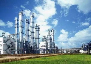 暑期實(shí)踐 逐夢化工小分隊(duì)