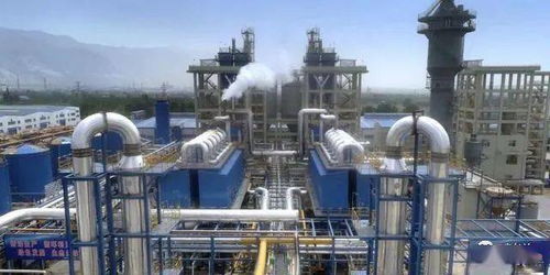 陽光焦化a股ipo啟動