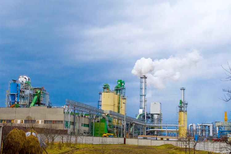 林產(chǎn)化工 探尋森林資源的化學(xué)密碼與綠色未來