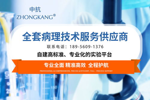 2026年如何高標準甄選石蠟包埋科研病理技術服務伙伴