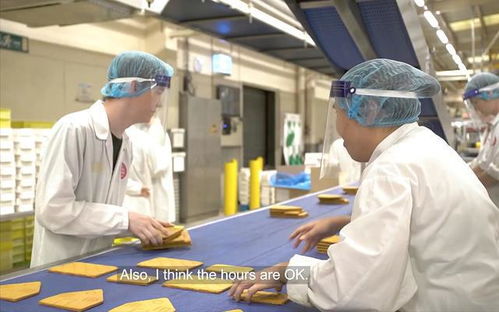 從講臺(tái)到餅廠 香港移民在英國(guó)的階層漂流與重生